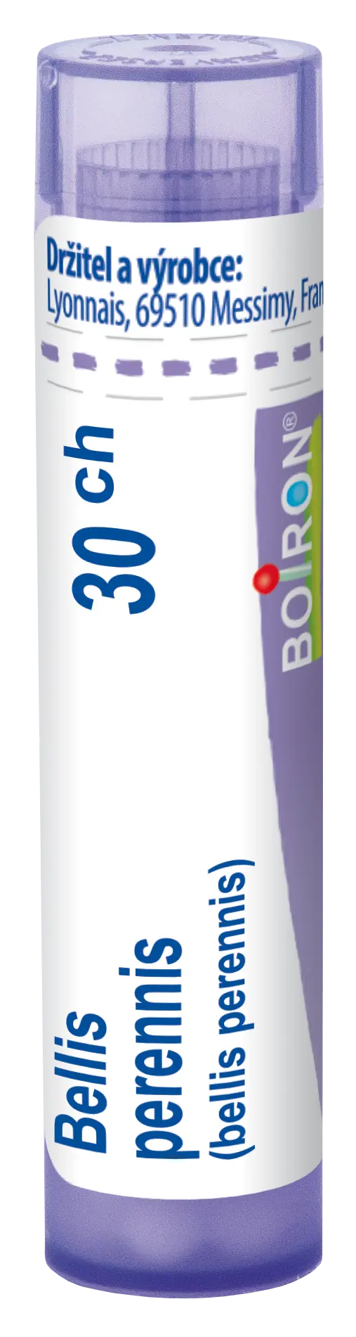 10785_BELLIS PERENNIS 30